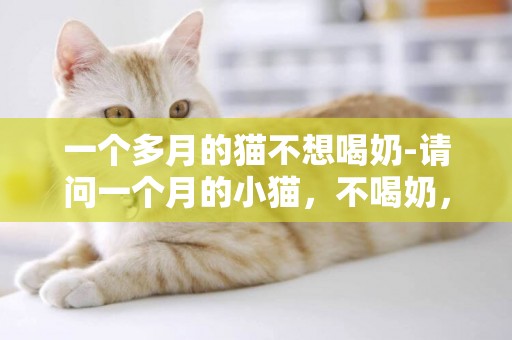 一個多月的貓不想喝奶-請問一個月的小貓，不喝奶，什么原因啊。