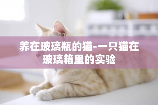 養在玻璃瓶的貓-一只貓在玻璃箱里的實驗