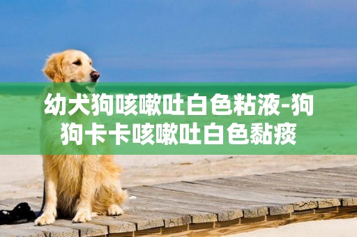 幼犬狗咳嗽吐白色粘液-狗狗卡卡咳嗽吐白色黏痰