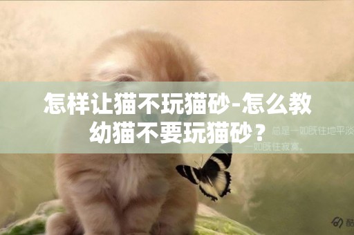 怎樣讓貓不玩貓砂-怎么教幼貓不要玩貓砂？