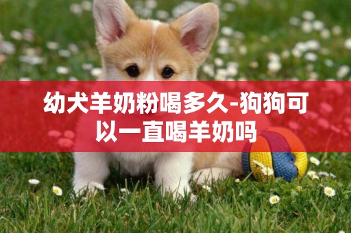 幼犬羊奶粉喝多久-狗狗可以一直喝羊奶嗎
