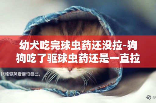 幼犬吃完球蟲藥還沒拉-狗狗吃了驅球蟲藥還是一直拉軟便？