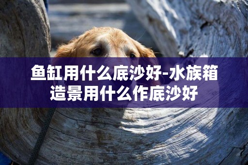 魚缸用什么底沙好-水族箱造景用什么作底沙好