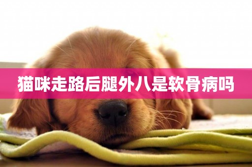 貓咪走路后腿外八是軟骨病嗎