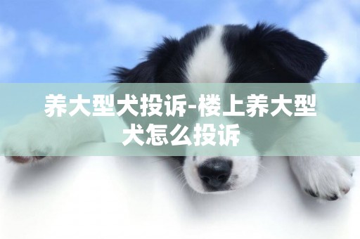 養大型犬投訴-樓上養大型犬怎么投訴