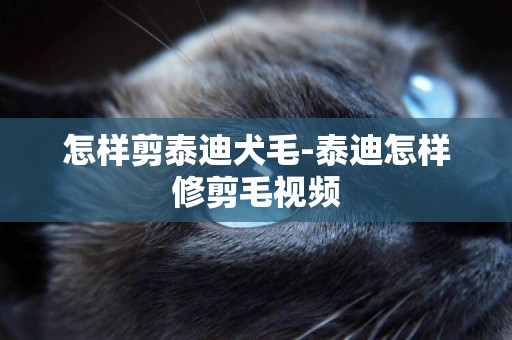 怎樣剪泰迪犬毛-泰迪怎樣修剪毛視頻