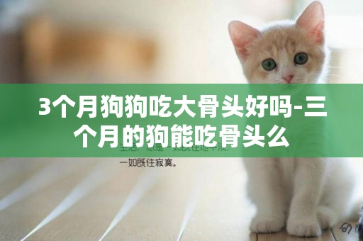 3個月狗狗吃大骨頭好嗎-三個月的狗能吃骨頭么