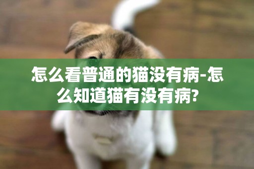 怎么看普通的貓沒有病-怎么知道貓有沒有病?
