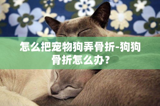 怎么把寵物狗弄骨折-狗狗骨折怎么辦？