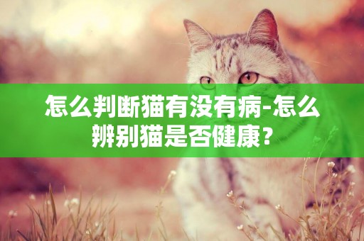 怎么判斷貓有沒有病-怎么辨別貓是否健康？