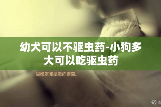 幼犬可以不驅蟲藥-小狗多大可以吃驅蟲藥