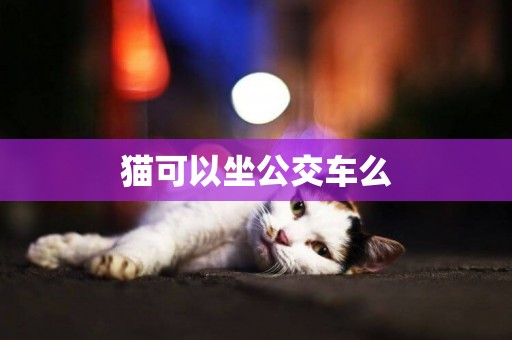 貓可以坐公交車么