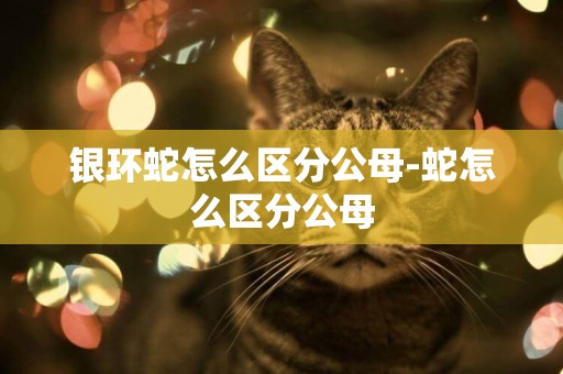 銀環蛇怎么區分公母-蛇怎么區分公母