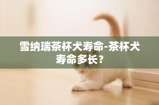 雪納瑞茶杯犬壽命-茶杯犬壽命多長？