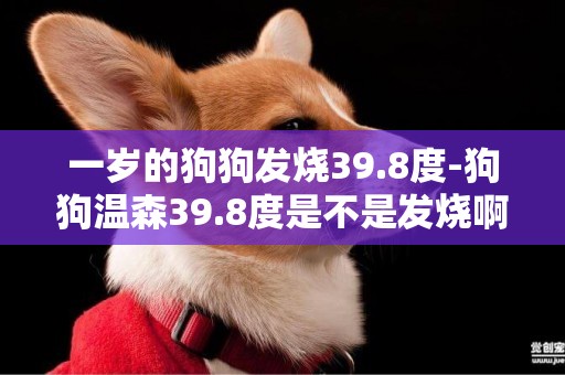 一歲的狗狗發燒39.8度-狗狗溫森39.8度是不是發燒啊？