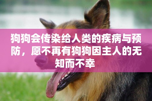 狗狗會傳染給人類的疾病與預防，愿不再有狗狗因主人的無知而不幸 