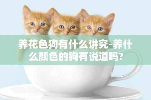 養花色狗有什么講究-養什么顏色的狗有說道嗎?