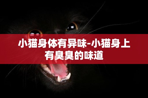 小貓身體有異味-小貓身上有臭臭的味道