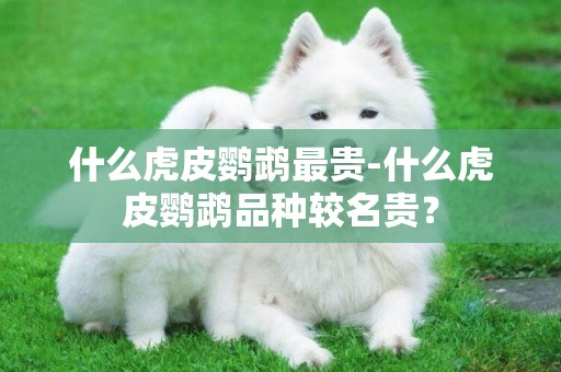 什么虎皮鸚鵡最貴-什么虎皮鸚鵡品種較名貴？