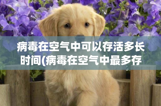 病毒在空氣中可以存活多長時間(病毒在空氣中最多存活幾天?寵物和人是否傳染的) 