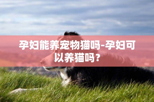 孕婦能養寵物貓嗎-孕婦可以養貓嗎？
