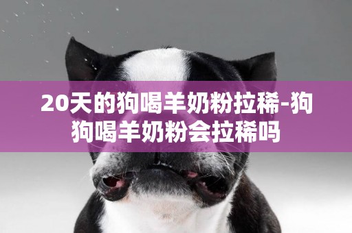 20天的狗喝羊奶粉拉稀-狗狗喝羊奶粉會拉稀嗎
