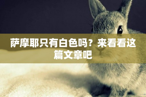 薩摩耶只有白色嗎？來看看這篇文章吧