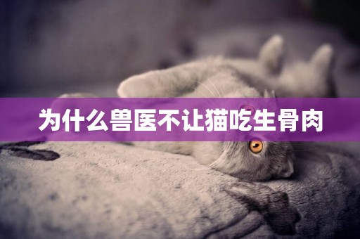 為什么獸醫不讓貓吃生骨肉