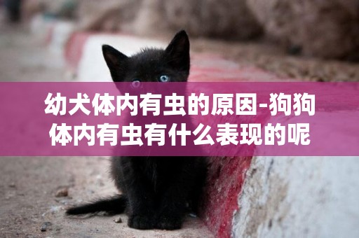幼犬體內有蟲的原因-狗狗體內有蟲有什么表現的呢