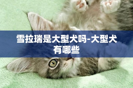 雪拉瑞是大型犬嗎-大型犬有哪些