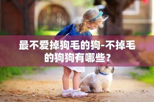 最不愛掉狗毛的狗-不掉毛的狗狗有哪些？