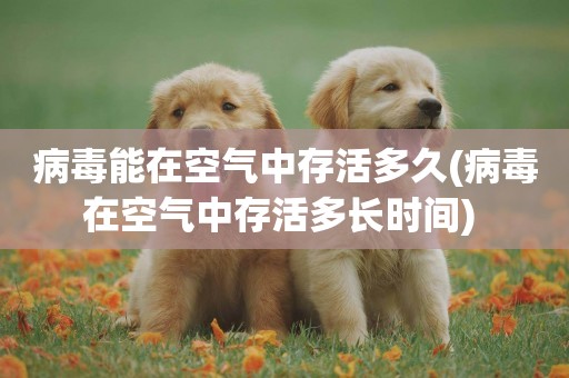 病毒能在空氣中存活多久(病毒在空氣中存活多長時間) 