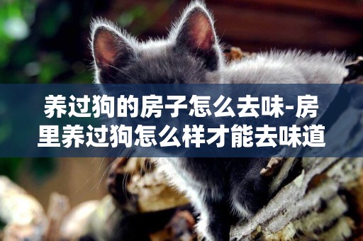 養過狗的房子怎么去味-房里養過狗怎么樣才能去味道