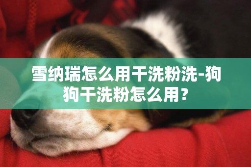 雪納瑞怎么用干洗粉洗-狗狗干洗粉怎么用？