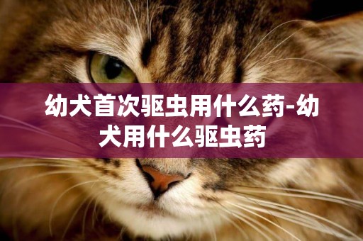 幼犬首次驅蟲用什么藥-幼犬用什么驅蟲藥