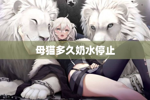 母貓多久奶水停止