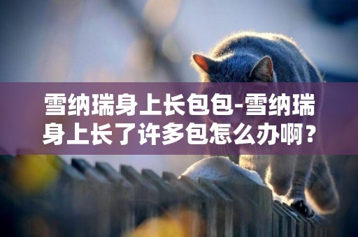 雪納瑞身上長包包-雪納瑞身上長了許多包怎么辦啊？