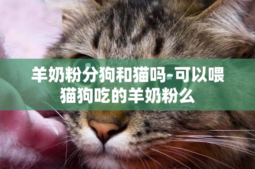 羊奶粉分狗和貓嗎-可以喂貓狗吃的羊奶粉么