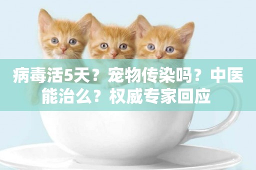病毒活5天？寵物傳染嗎？中醫能治么？權威專家回應 