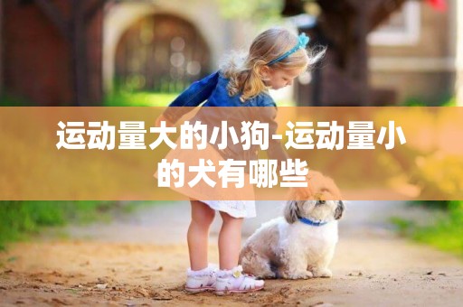 運動量大的小狗-運動量小的犬有哪些