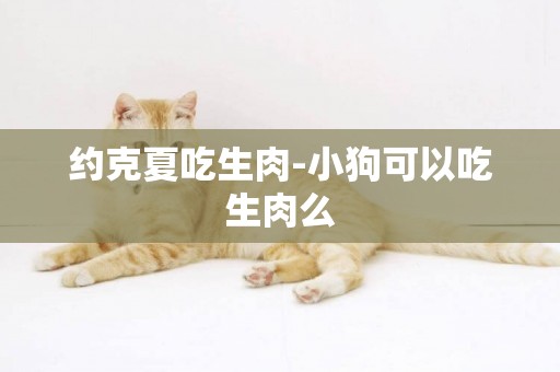 約克夏吃生肉-小狗可以吃生肉么