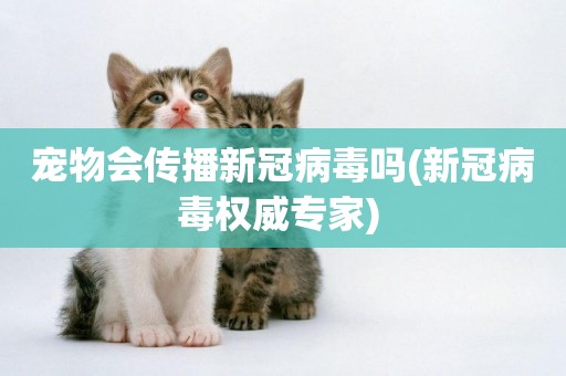 寵物會傳播新冠病毒嗎(新冠病毒權威專家) 