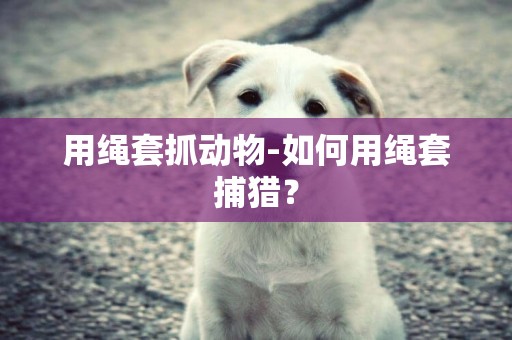 用繩套抓動物-如何用繩套捕獵？