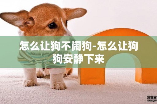 怎么讓狗不鬧狗-怎么讓狗狗安靜下來