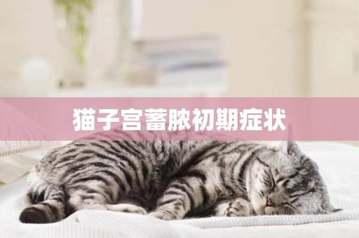 貓子宮蓄膿初期癥狀