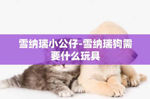 雪納瑞小公仔-雪納瑞狗需要什么玩具