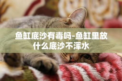 魚缸底沙有毒嗎-魚缸里放什么底沙不渾水