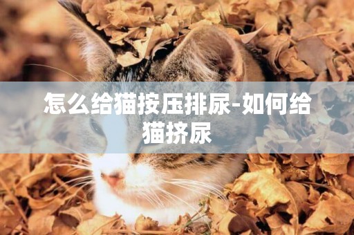 怎么給貓按壓排尿-如何給貓擠尿