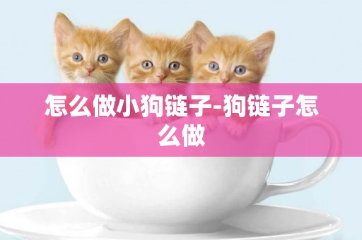 怎么做小狗鏈子-狗鏈子怎么做