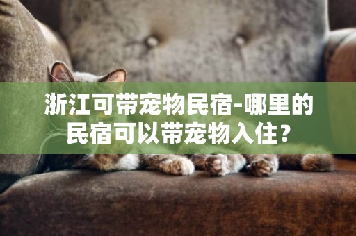 浙江可帶寵物民宿-哪里的民宿可以帶寵物入住？